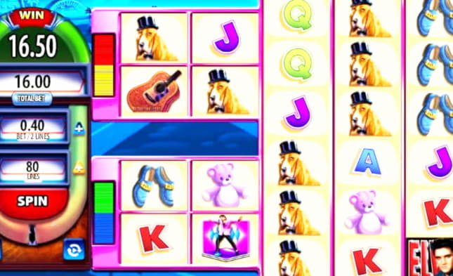 805% Match Bonus at Royal Dubai Casino