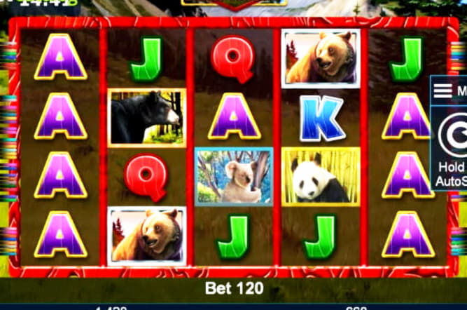 410% Signup casino bonus at Wild Blaster Casino