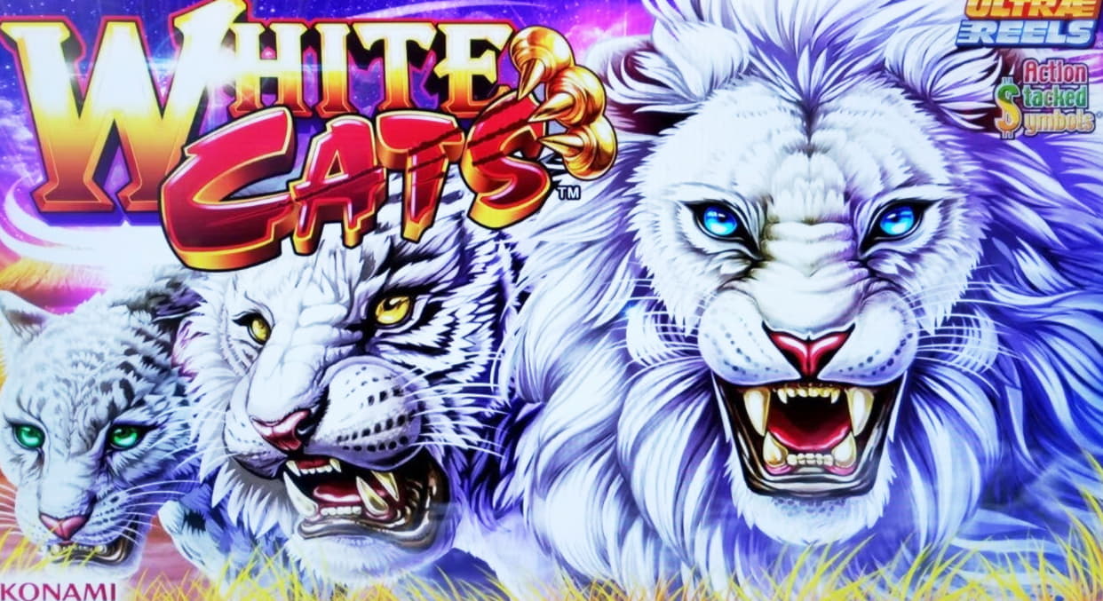 810% Deposit Match Bonus at Spin Palace Casino