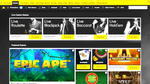 EUR 495 Daily freeroll slot tournament at All Slots Casino