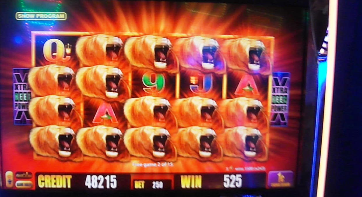 €975 Casino Tournament at Lucky Nugget Casino