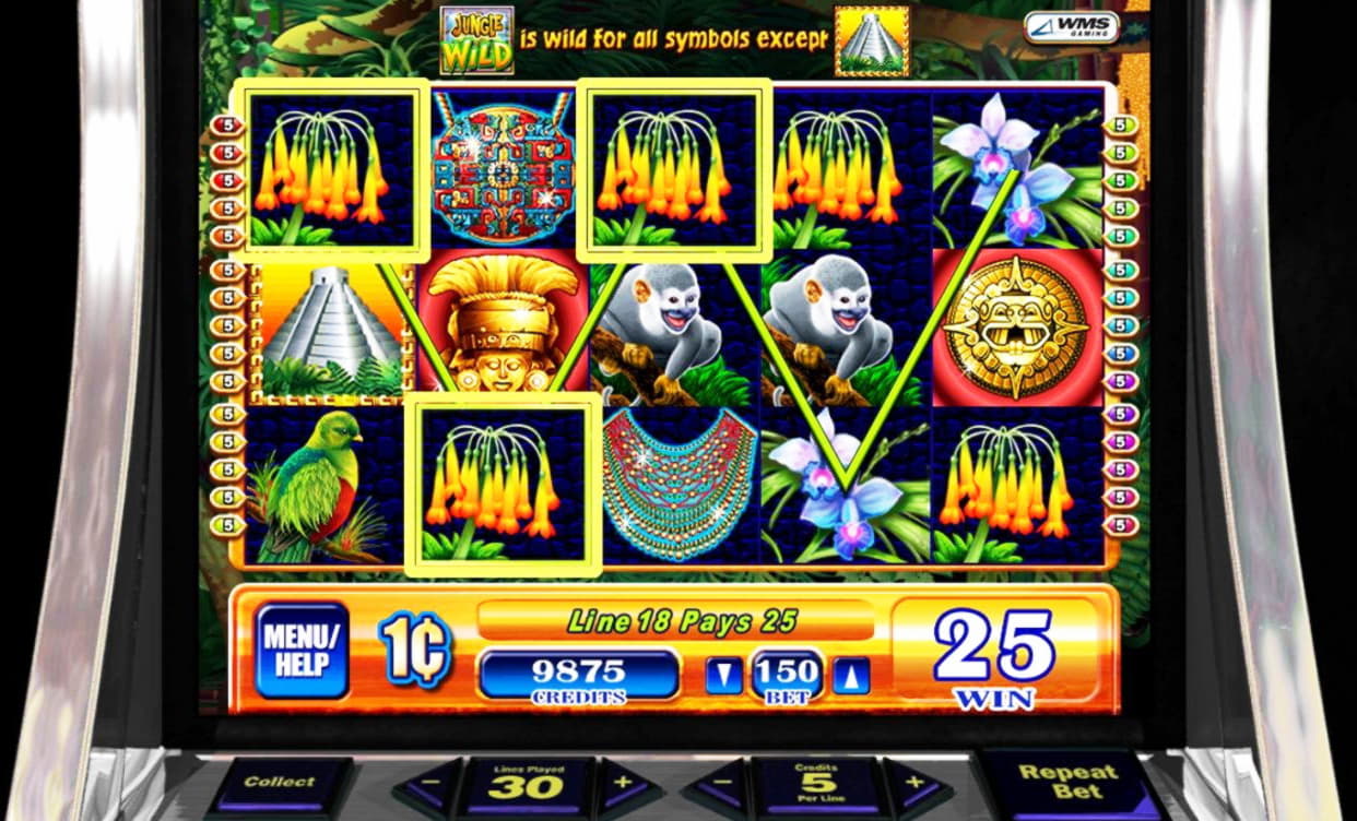 170 free spins at Dunder Casino