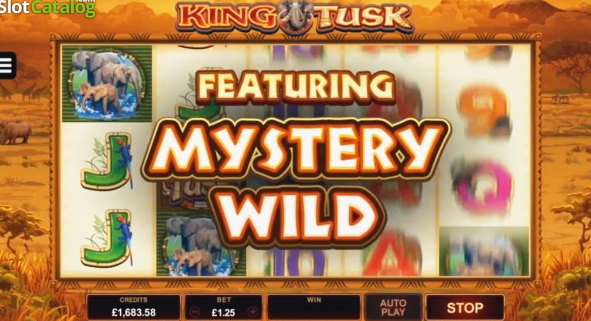 165 Free spins no deposit casino at Wild Blaster Casino