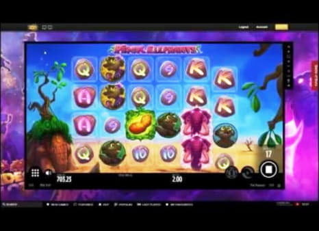 €305 No Deposit Casino Bonus at Dunder Casino