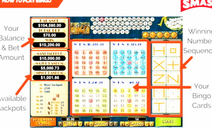 $875 Daily freeroll slot tournament at Casino com