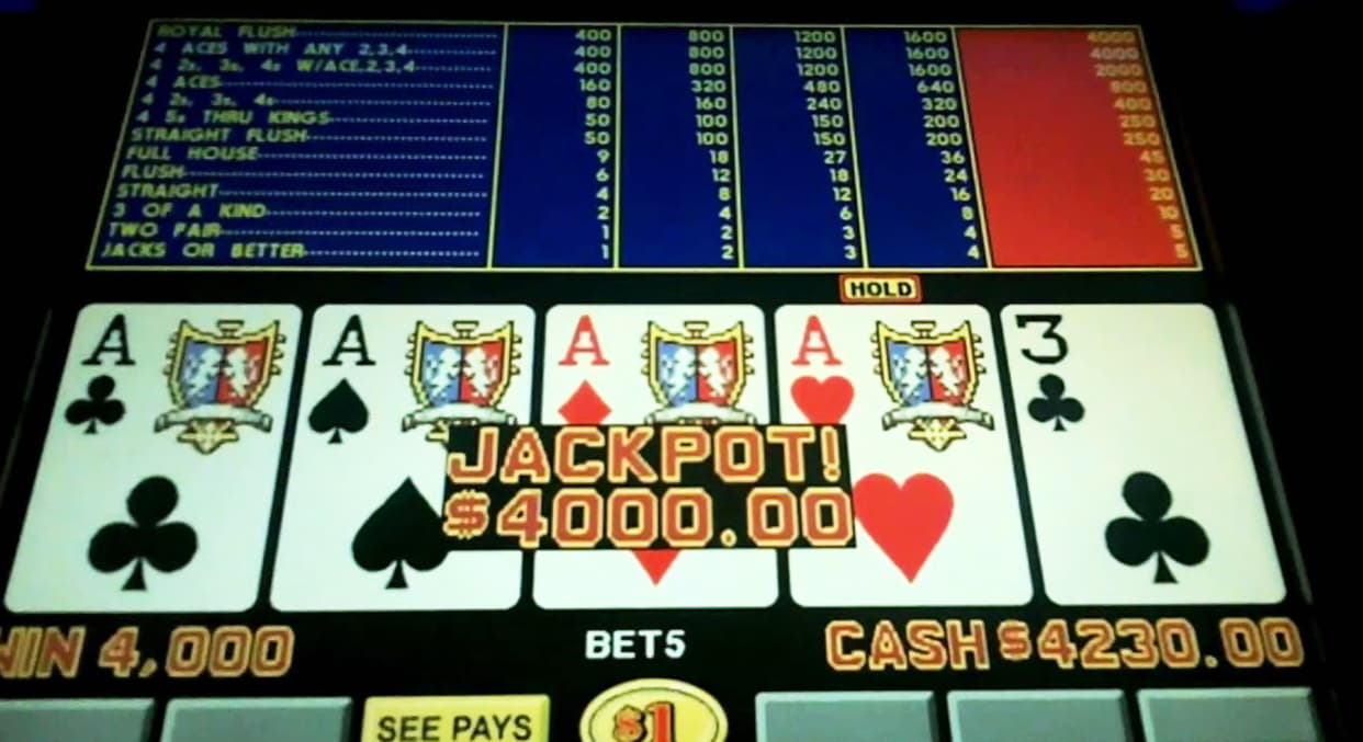 EURO 450 No Deposit at Leo Dubai Casino