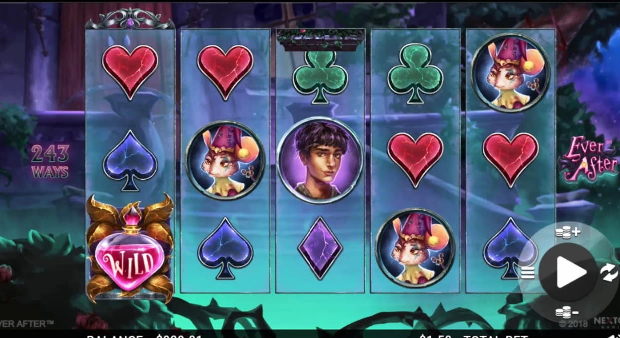 695% Match Bonus at Leo Dubai Casino