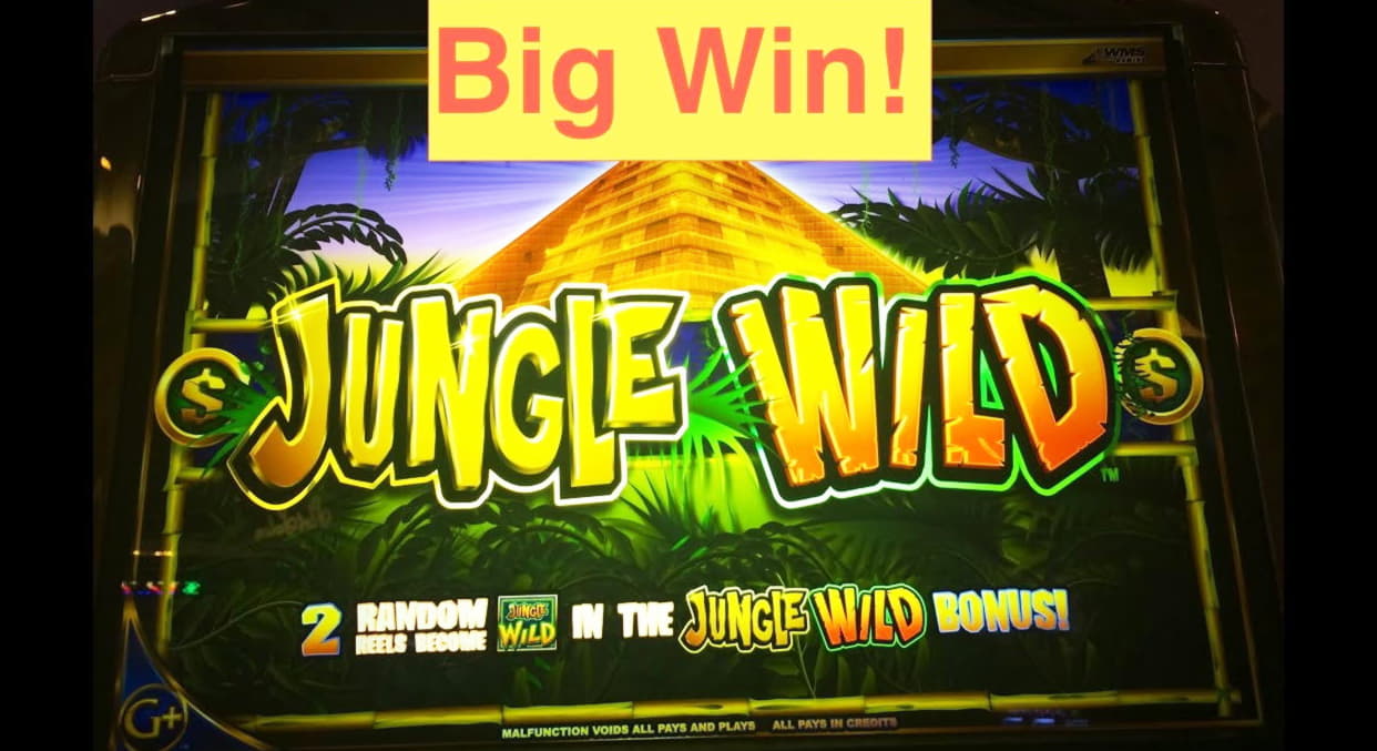 £835 No Deposit Bonus at Joy Casino
