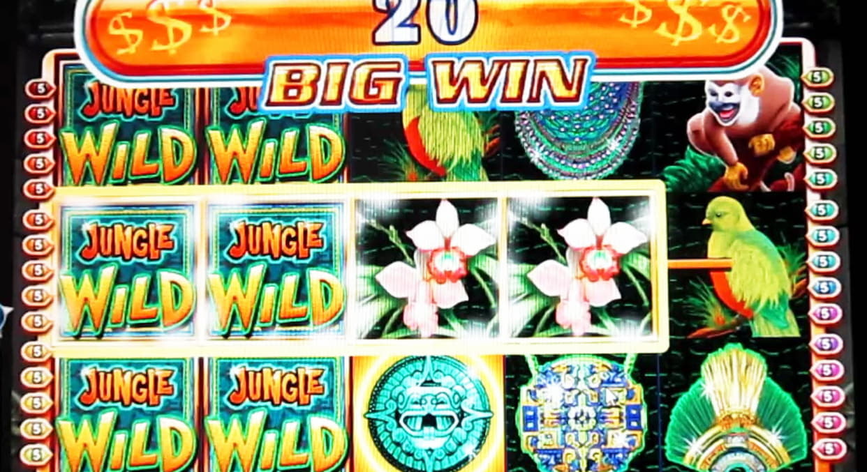 260 Loyalty Free Spins! at Casino-X