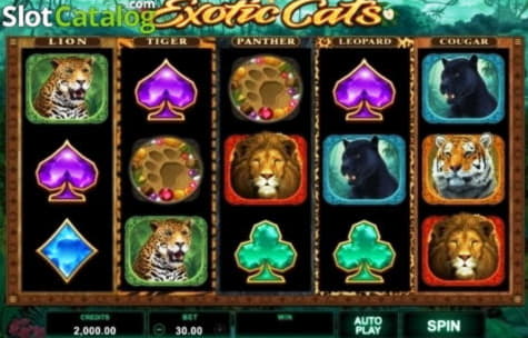 €310 FREE Chip Casino at Spin Palace Casino