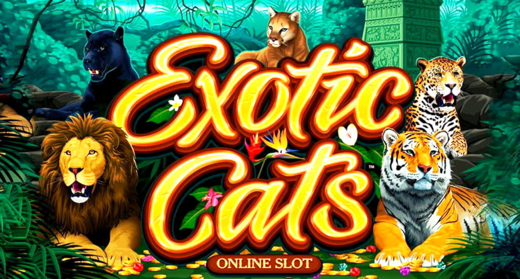 EUR 690 Mobile freeroll slot tournament at Casino-X
