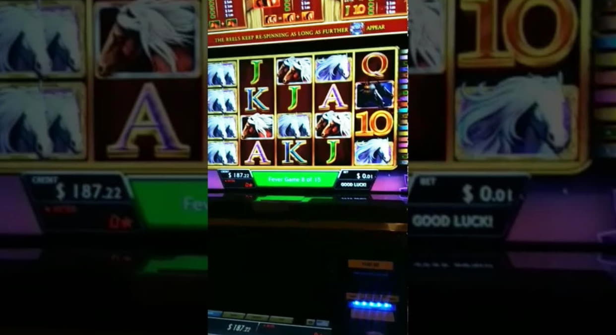EURO 460 Casino tournaments freeroll at Spin Palace Casino