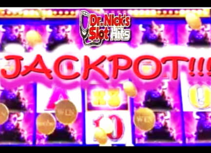 50% Signup casino bonus at Spin Palace Casino