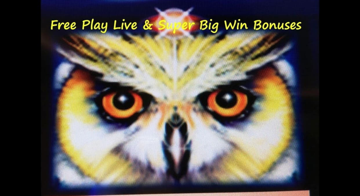 €265 No Deposit Bonus Code at Spin Palace Casino