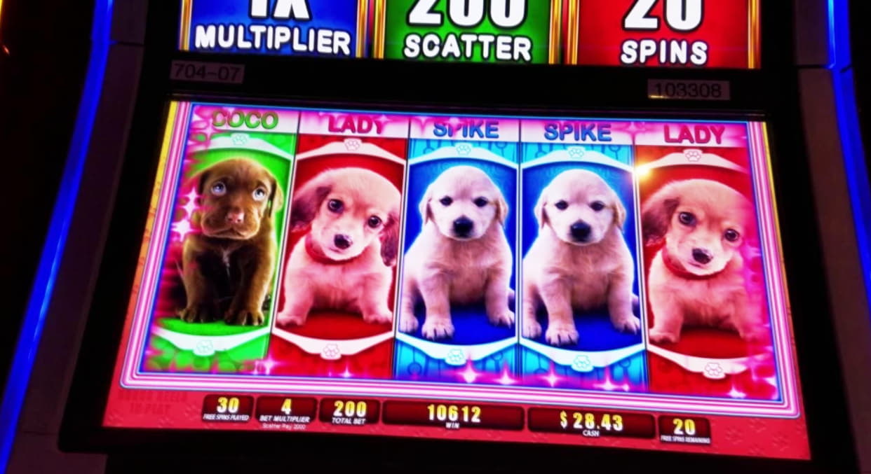 EURO 145 Casino tournaments freeroll at Spin Palace Casino