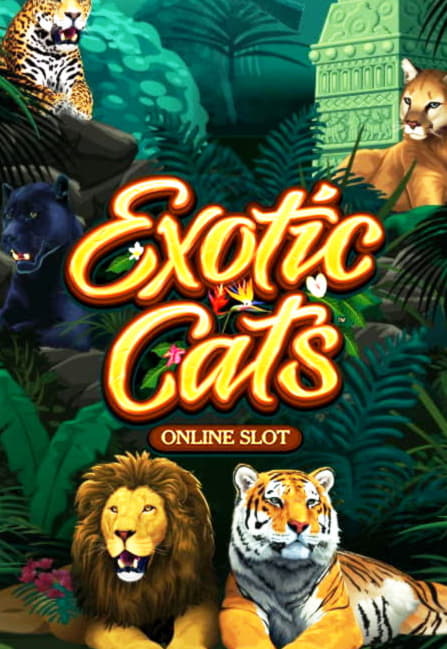 €700 Casino chip at Emu Casino
