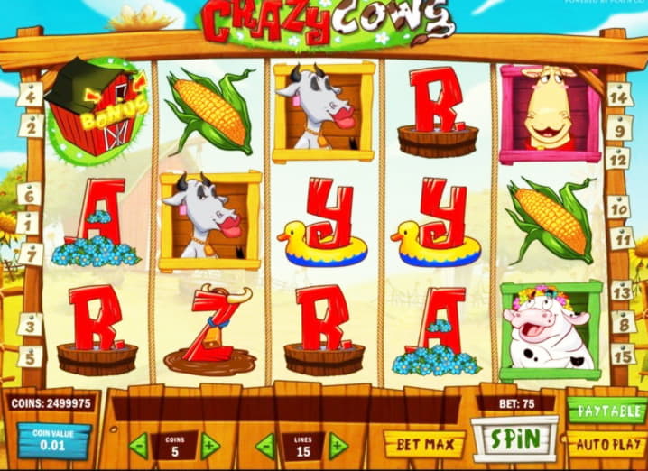 Eur 77 Tournament at Lucky Nugget Casino