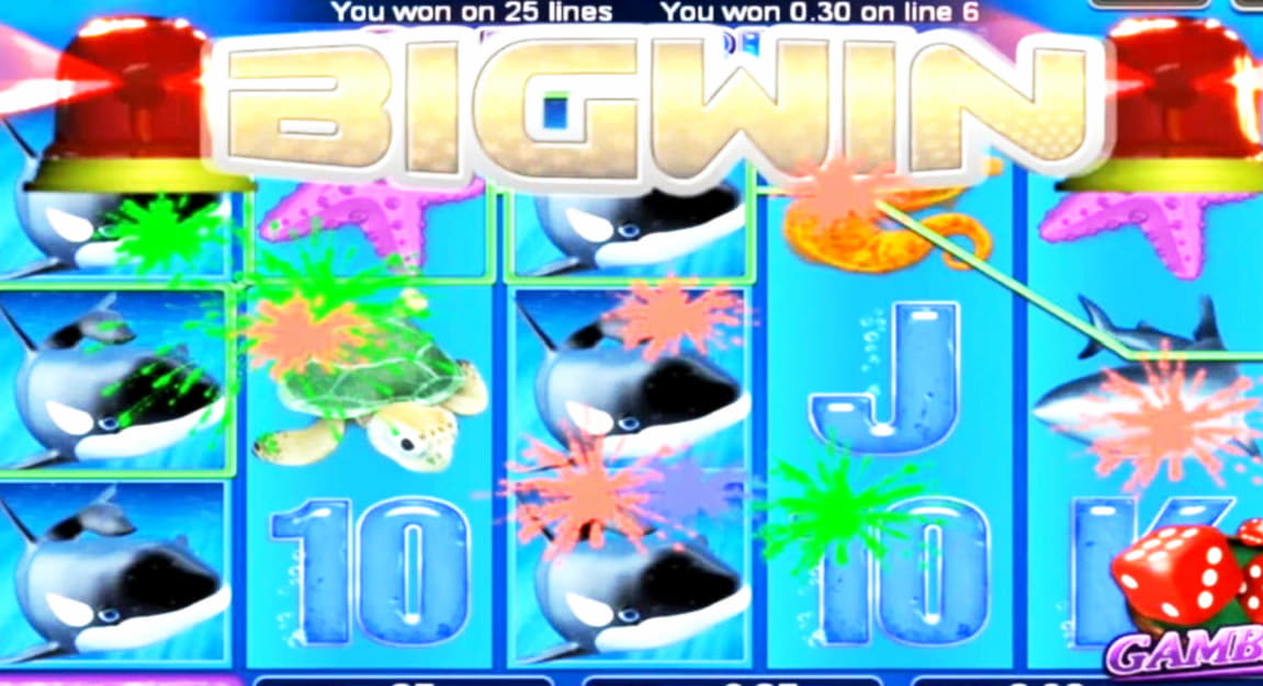 835% Match bonus at bWin Casino