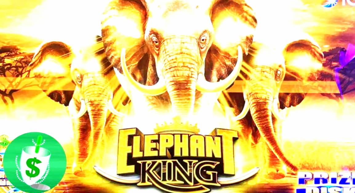 55 Free Spins Casino at Spin Palace Casino