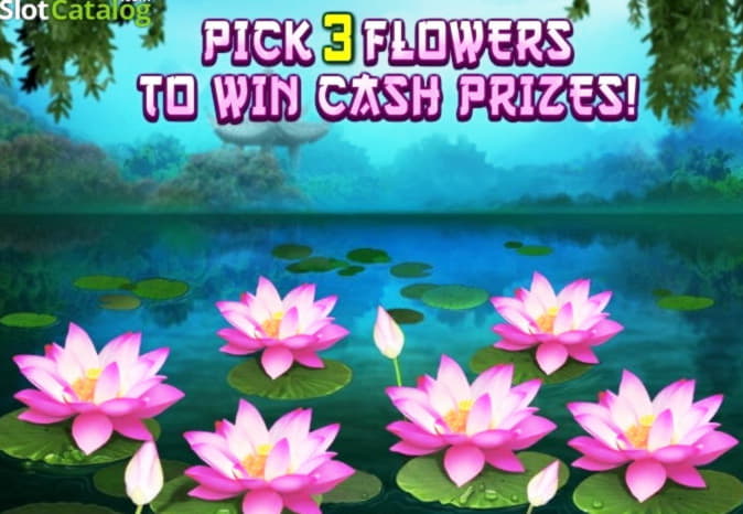 £2890 NO DEPOSIT at Treasure Island Jackpots Casino (Sloto Cash Mirror)