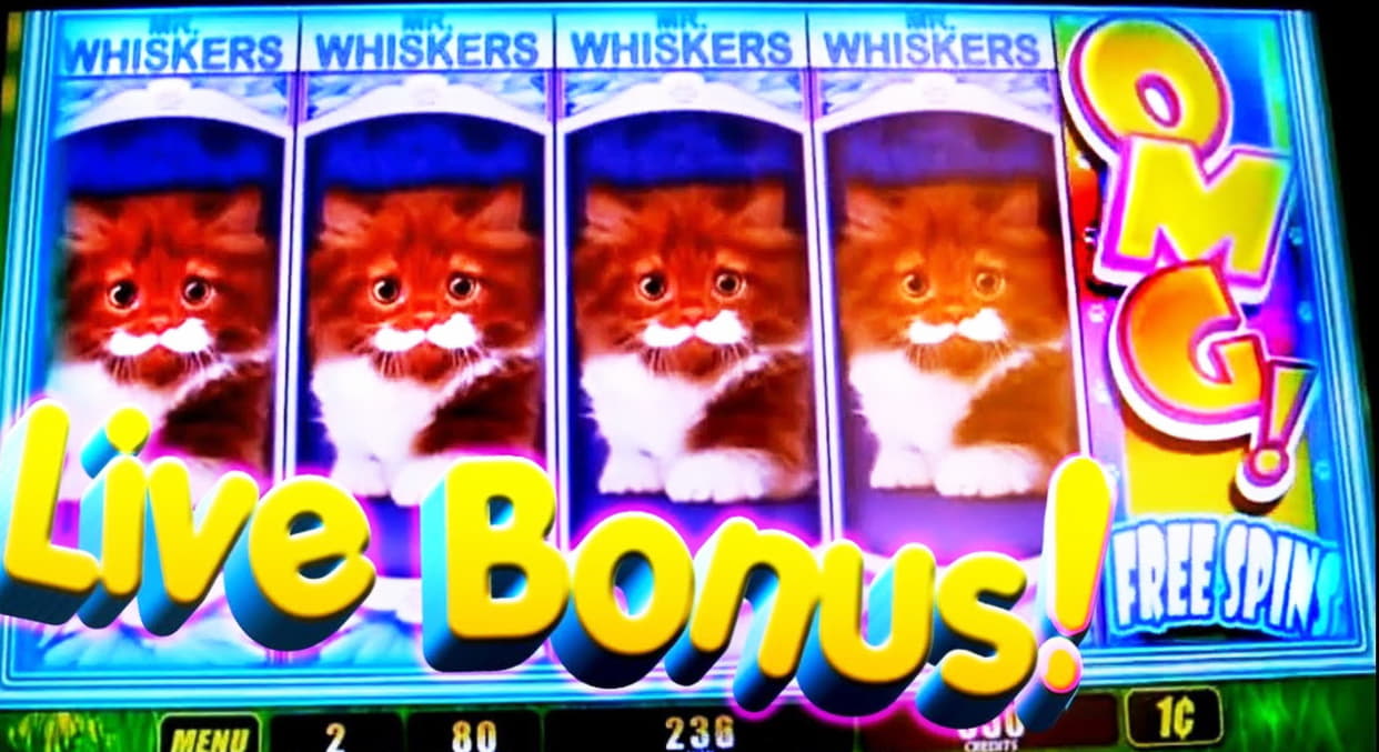 290 free spins no deposit casino at All Slots Casino