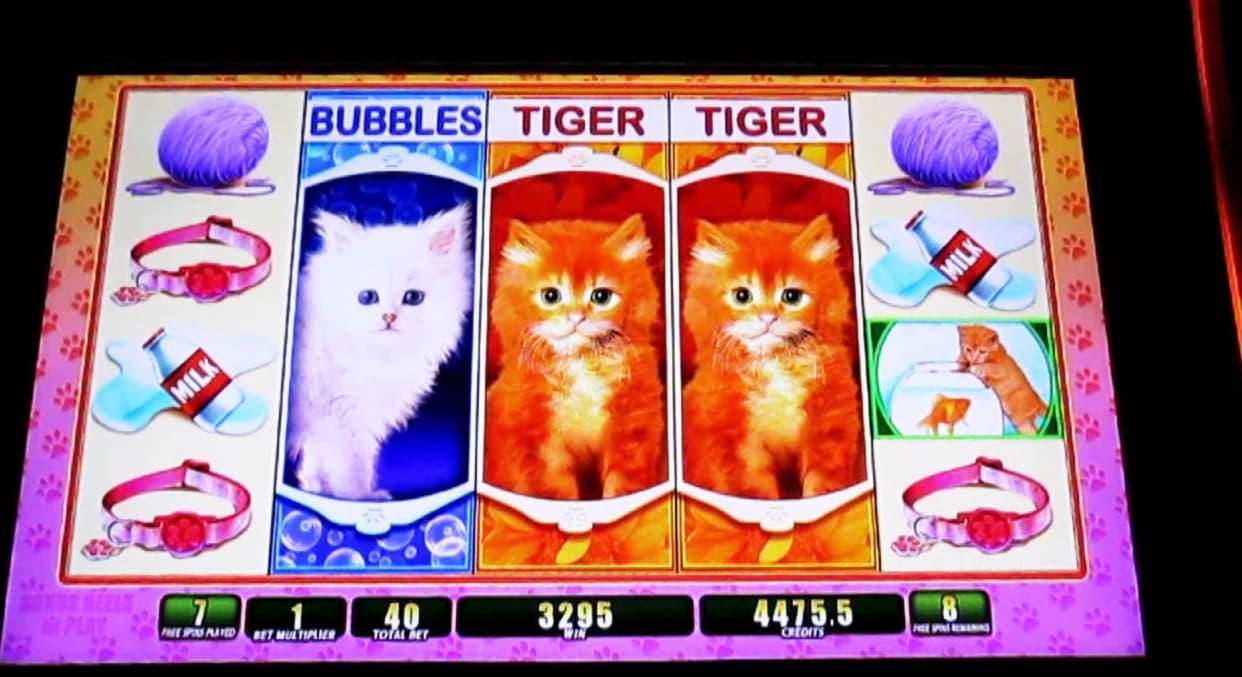 ﻿$4500 NO DEPOSIT BONUS CASINO at Emu Casino