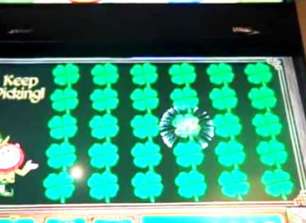 550% Best signup bonus casino at Emu Casino