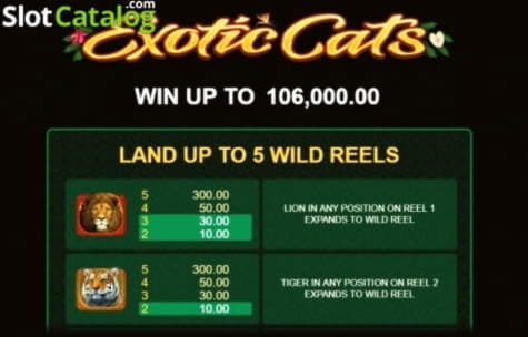 ﻿$20 Casino tournaments freeroll at Spin Palace Casino