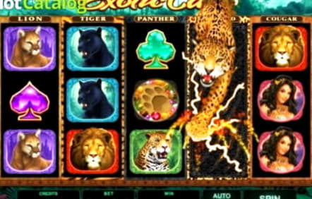 EURO 480 Online Casino Tournament at Volt Casino