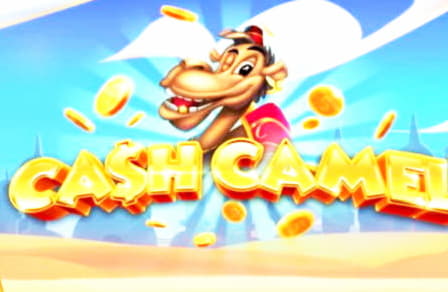 €595 Casino Chip at Lucky Nugget Casino