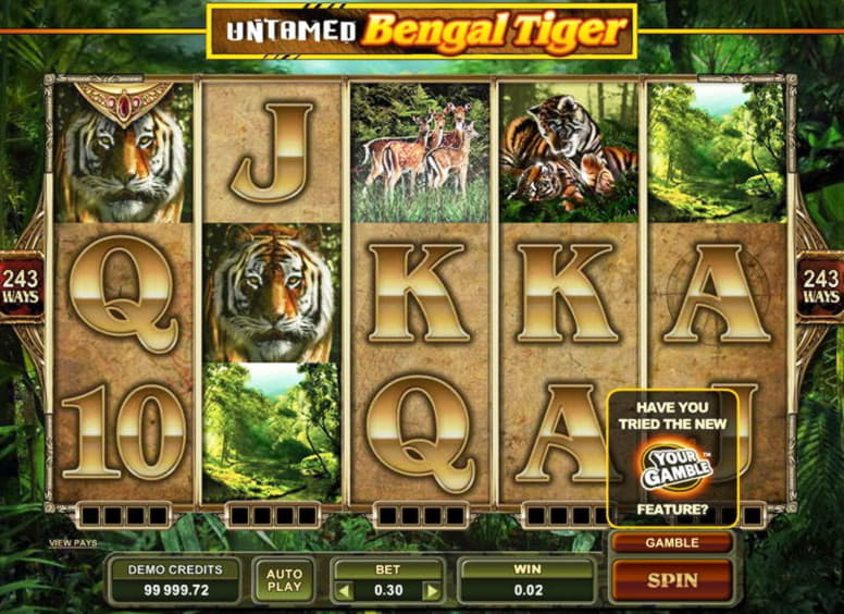 $225 free casino chip at Leo Dubai Casino