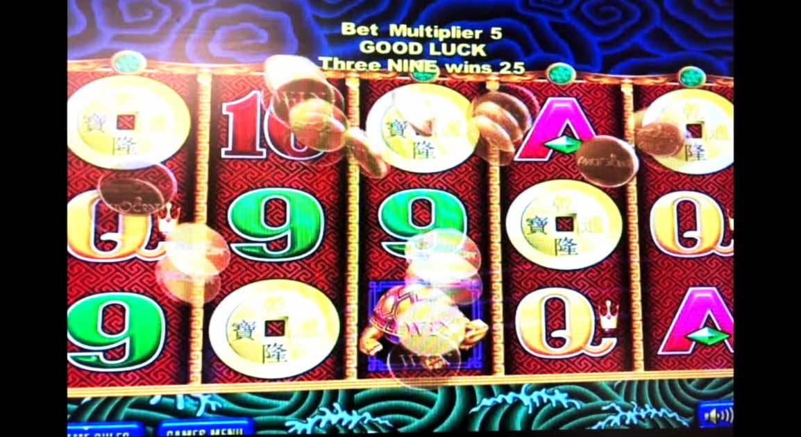 $835 Casino tournaments freeroll at Wild Blaster Casino