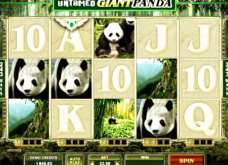EUR 4290 No Deposit at River Belle Casino