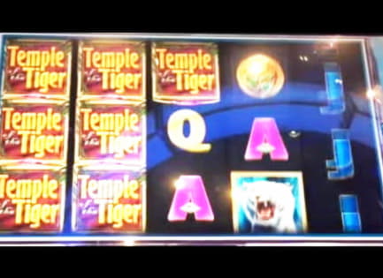 ﻿$715 Free Casino Tournament at Leo Dubai Casino