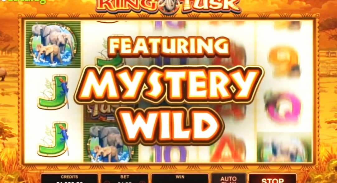 265% casino match bonus at Leo Dubai Casino