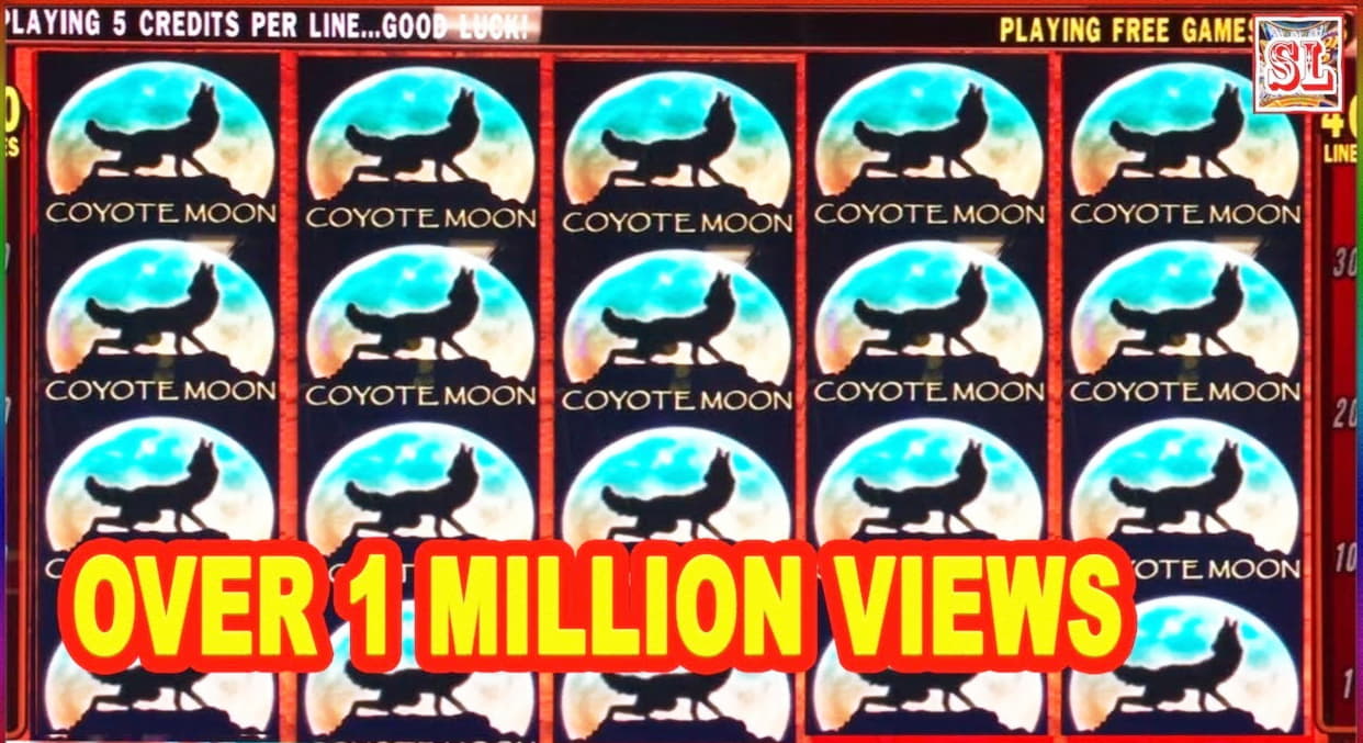 $77 Casino tournaments freeroll at Wild Blaster Casino