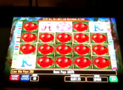 230 FREE SPINS at Casino-X