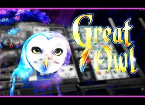 800% Match bonus casino at Big Jackpots Casino 
