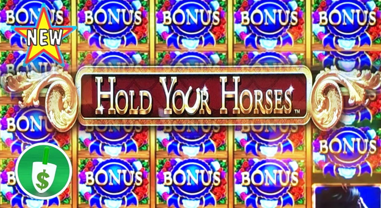 145 Free spins casino at High Roll Casino 