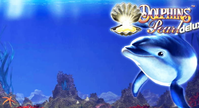300 Free spins at Road Casino 