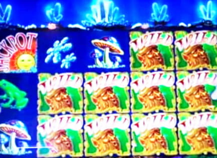 ﻿$1880 NO DEPOSIT BONUS at Wild Blaster Casino