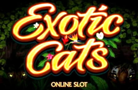 70 free spins no deposit at Yes Casino 