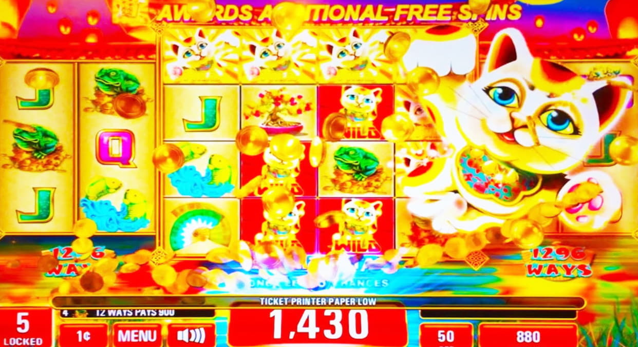 245 Free Spins right now at Big Jackpots Casino 