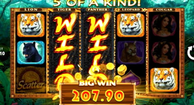 475% Signup casino bonus at Leo Dubai Casino