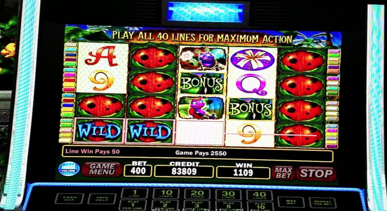 395% Match Bonus Casino at High Roll Casino 
