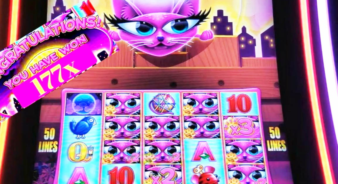 €2390 NO DEPOSIT CASINO BONUS at Jelly Bean Casino