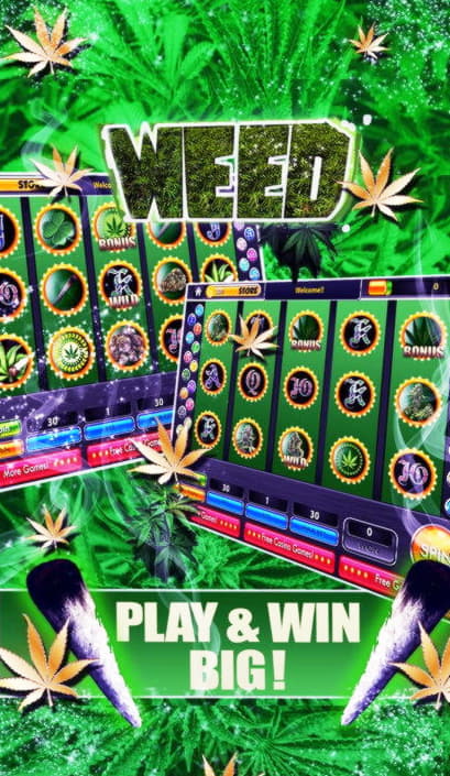 265% Best Signup Bonus Casino at Yes Casino 