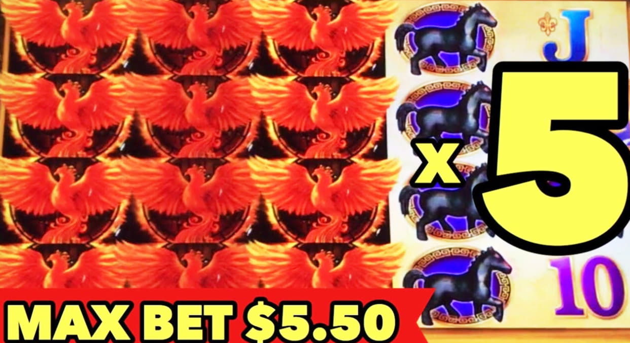 ﻿$655 Daily freeroll slot tournament at bWin Casino