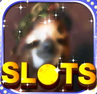 $855 Casino Tournament at Jelly Bean Casino