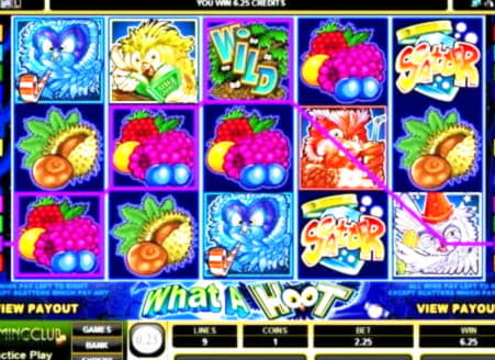 EURO 595 Free Money at Spin Palace Casino
